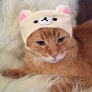 rilakkuma cat hat